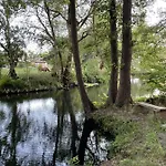 아파트 Spreewaldhaus Am Landgut - Pretschen Markische Heide